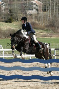 annie_yankeeboy_180_8087.jpg