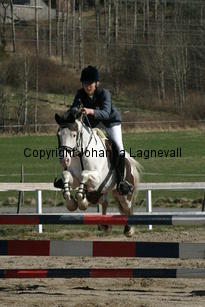 frieda_prinsrollo_181_8104.jpg