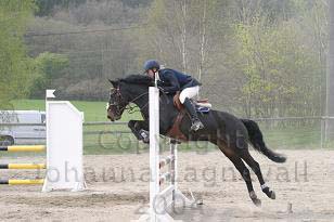 img_104_0430_w.jpg