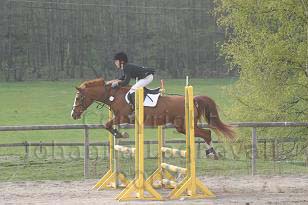 img_104_0441_w.jpg