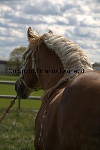 barry_0057.jpg