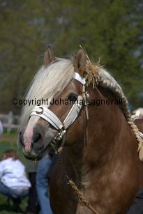 barry_0058.jpg