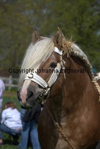 barry_0059.jpg