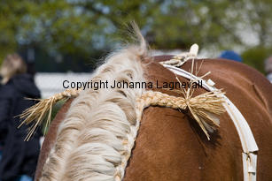 barry_0060-2.jpg