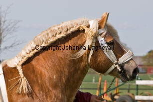barry_9990-2.jpg