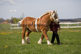 barry_9997-2.jpg