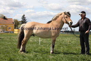 brynje_0087.jpg