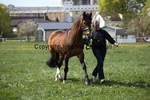 magini_9972.jpg