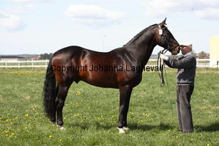 pommeroyal_9946.jpg