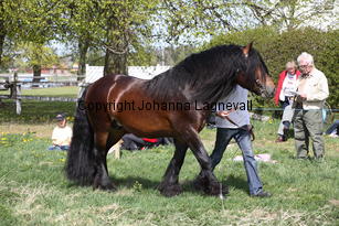 smedsbolindar_0047.jpg