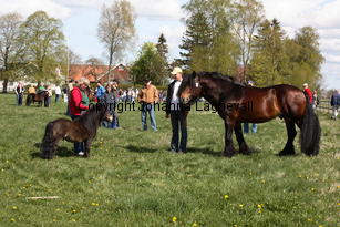 kalypso_smedsbolindar_9892.jpg