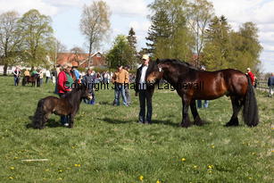 kalypso_smedsbolindar_9893.jpg