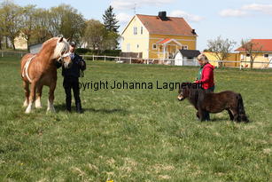 piraten_kalypso_9885.jpg