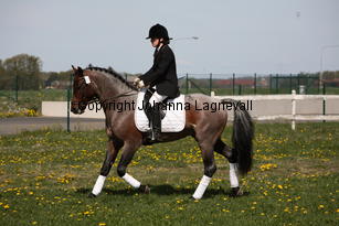 verdi_9883.jpg