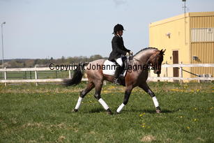 verdi_9917.jpg
