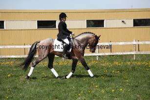 verdi_9921.jpg