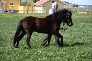 ecksy_9822.jpg