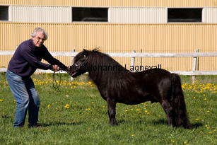 midasvbunswaard_9804-2.jpg