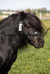 midasvbunswaard_9837.jpg