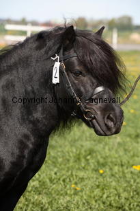 midasvbunswaard_9839.jpg