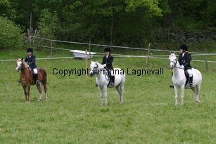 grupp_186_8679.jpg