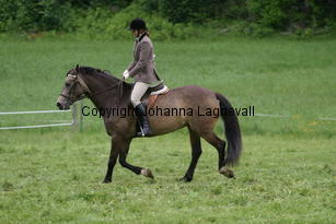 burhultsfantasie_lottis_185_8534.jpg