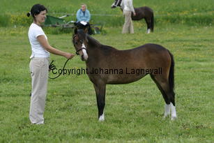 backebocamomill_185_8596.jpg