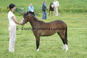 backebocamomill_185_8598.jpg
