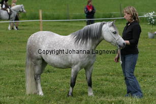betsy_185_8558.jpg