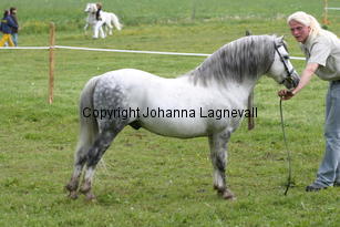 betwspryderi_186_8619.jpg
