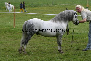 betwspryderi_186_8620.jpg