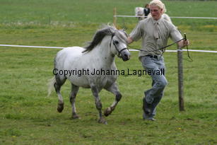 betwspryderi_186_8625.jpg