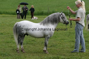 betwspryderi_186_8626.jpg