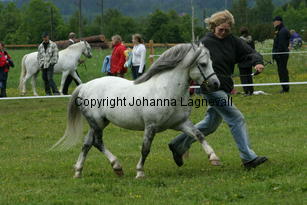 betwspryderi_187_8763.jpg