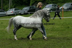 betwspryderi_187_8768.jpg