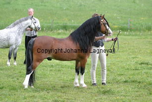 burhultsnougat_186_8623.jpg