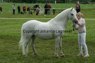 burhultstiptop_187_8782.jpg