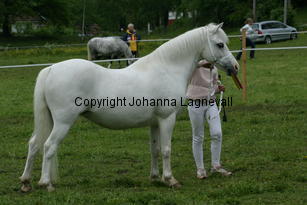burhultstiptop_188_8826.jpg