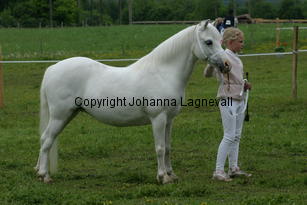 burhultstiptop_188_8828.jpg