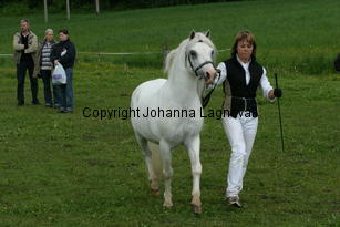 rhosaurrascal_187_8786.jpg
