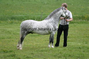 salstassplendid_186_8624.jpg
