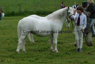 verdrefawrbodlon_187_8774.jpg