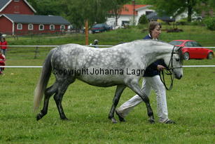 alice_187_8710.jpg