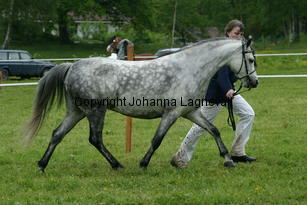 alice_187_8732.jpg