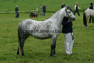alice_187_8743.jpg