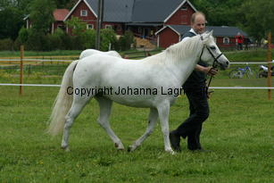 kulltorpsetikett_187_8712.jpg