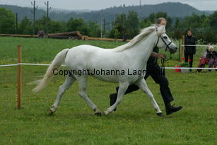 kulltorpsetikett_187_8725.jpg