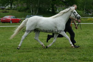 kulltorpsetikett_187_8727.jpg