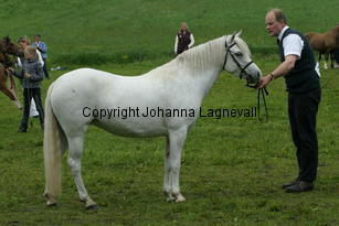 kulltorpsetikett_187_8746.jpg