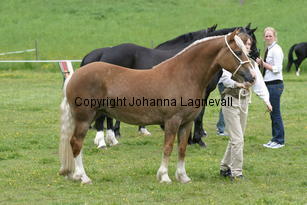 buckswoodsummerqueen_185_8544.jpg